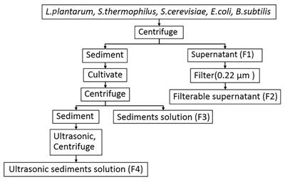 Pressure and Temperature Combined With Microbial Supernatant Effectively Inactivate Bacillus subtilis Spores